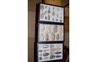 Property photo 92 - PERSONAL PROPERTY AUCTION - MAJOR ANTIQUE & COLLECTIBLE AUCTION in Allen County
